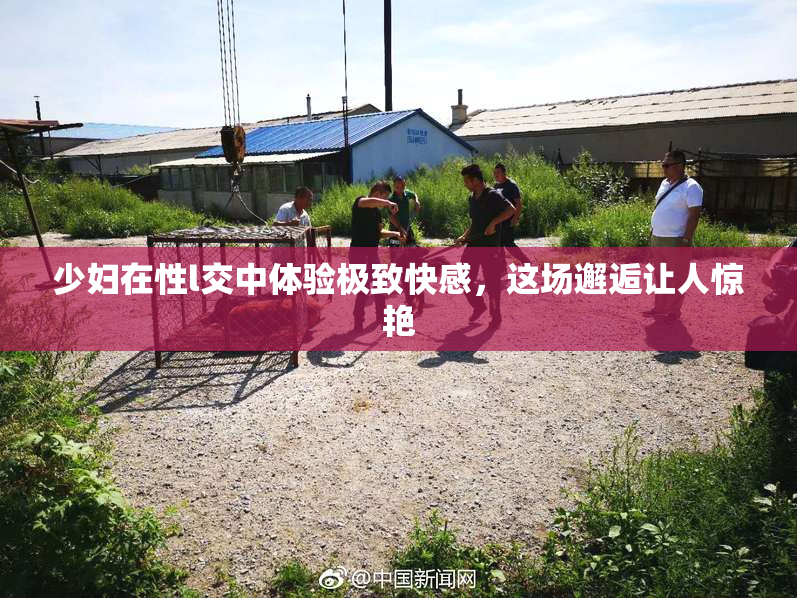 少妇在性l交中体验极致快感，这场邂逅让人惊艳