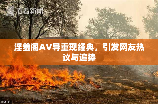 淫羞阁AV导重现经典，引发网友热议与追捧