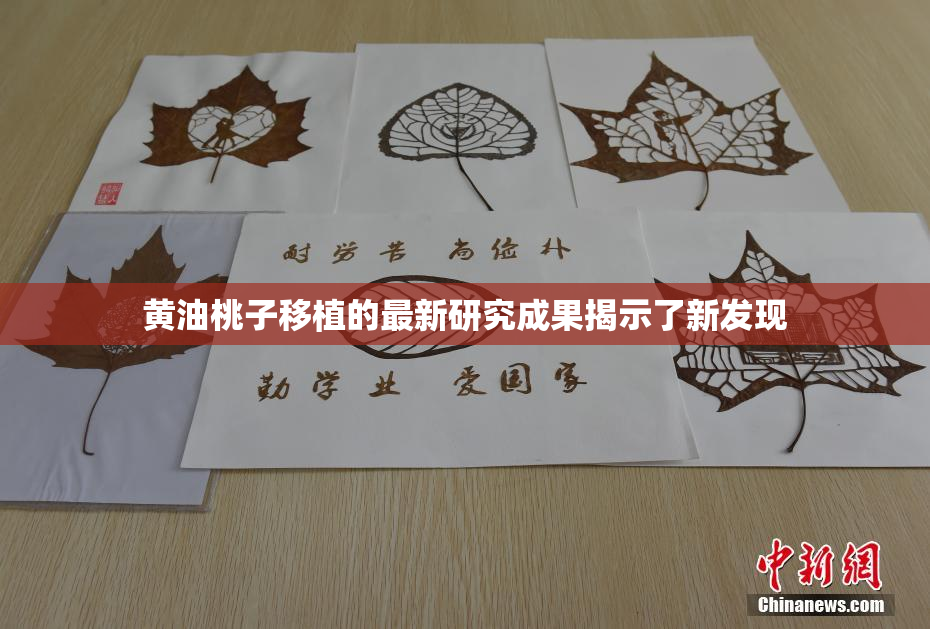 黄油桃子移植的最新研究成果揭示了新发现
