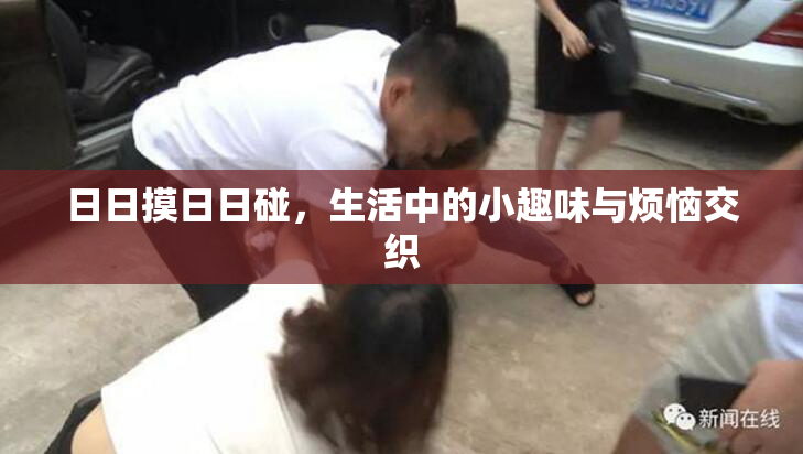 日日摸日日碰，生活中的小趣味与烦恼交织