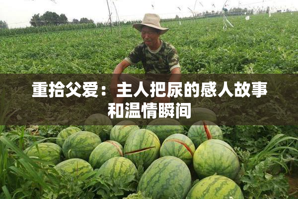 重拾父爱：主人把尿的感人故事和温情瞬间