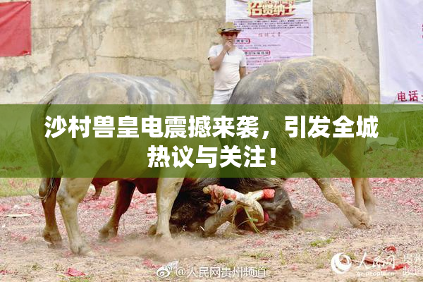 沙村兽皇电震撼来袭，引发全城热议与关注！