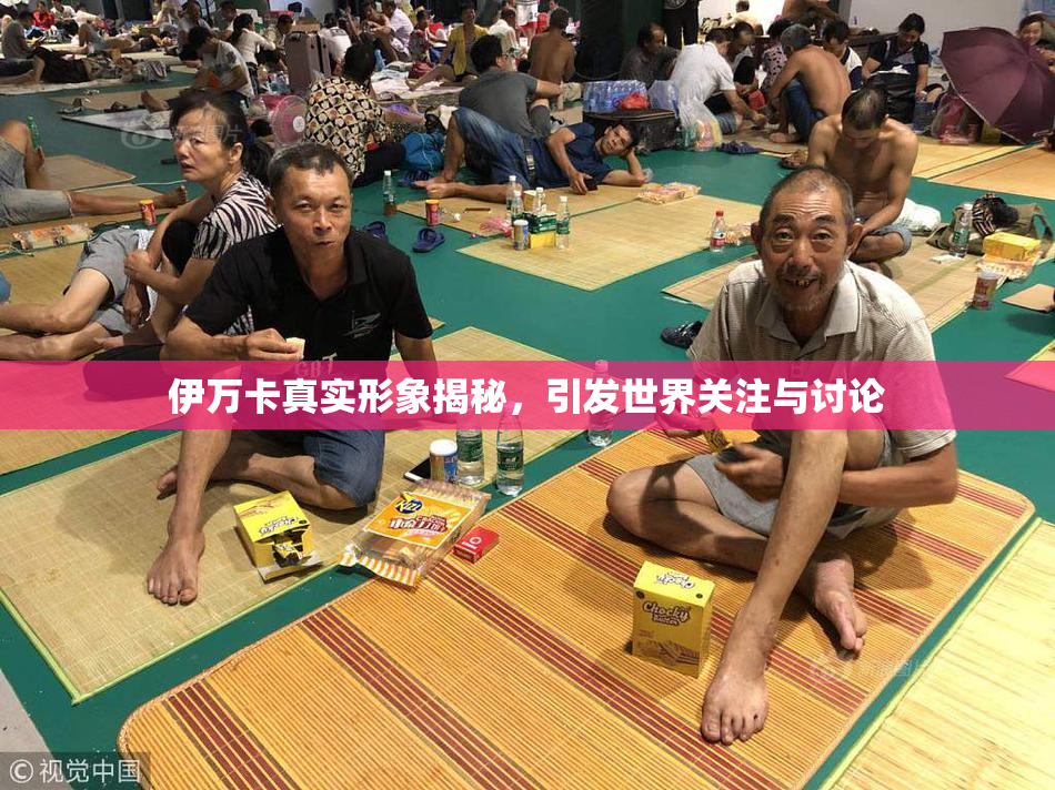 伊万卡真实形象揭秘，引发世界关注与讨论