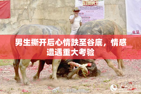 男生撕开后心情跌至谷底，情感遭遇重大考验