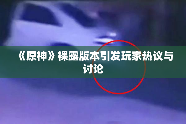 《原神》裸露版本引发玩家热议与讨论