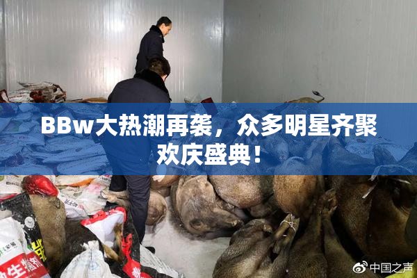 BBw大热潮再袭，众多明星齐聚欢庆盛典！