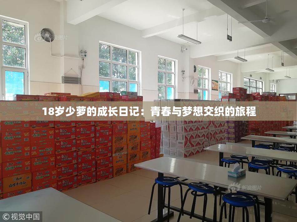 18岁少萝的成长日记：青春与梦想交织的旅程