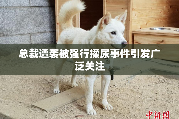 总裁遭袭被强行揉尿事件引发广泛关注