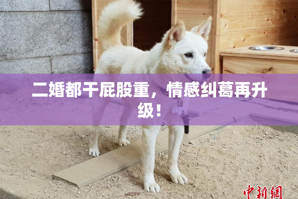 二婚都干屁股重，情感纠葛再升级！
