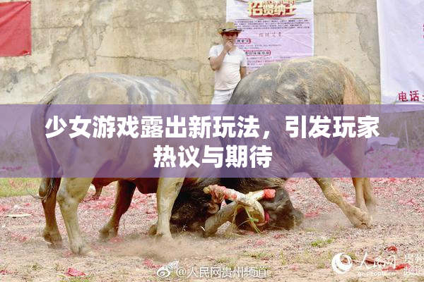 少女游戏露出新玩法，引发玩家热议与期待