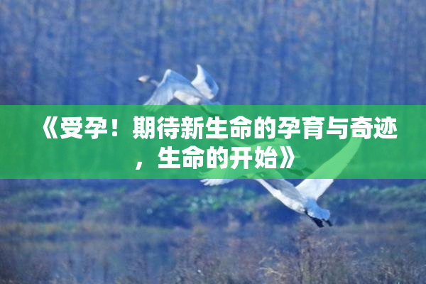 《受孕！期待新生命的孕育与奇迹，生命的开始》