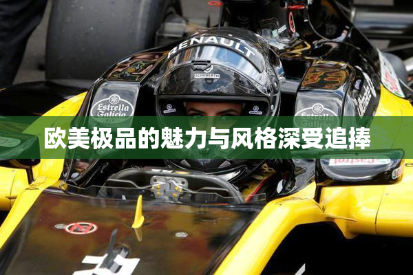 欧美极品的魅力与风格深受追捧