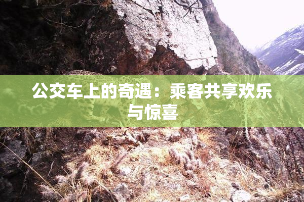 公交车上的奇遇：乘客共享欢乐与惊喜
