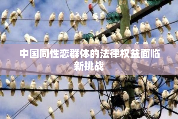 中国同性恋群体的法律权益面临新挑战