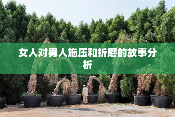 女人对男人施压和折磨的故事分析