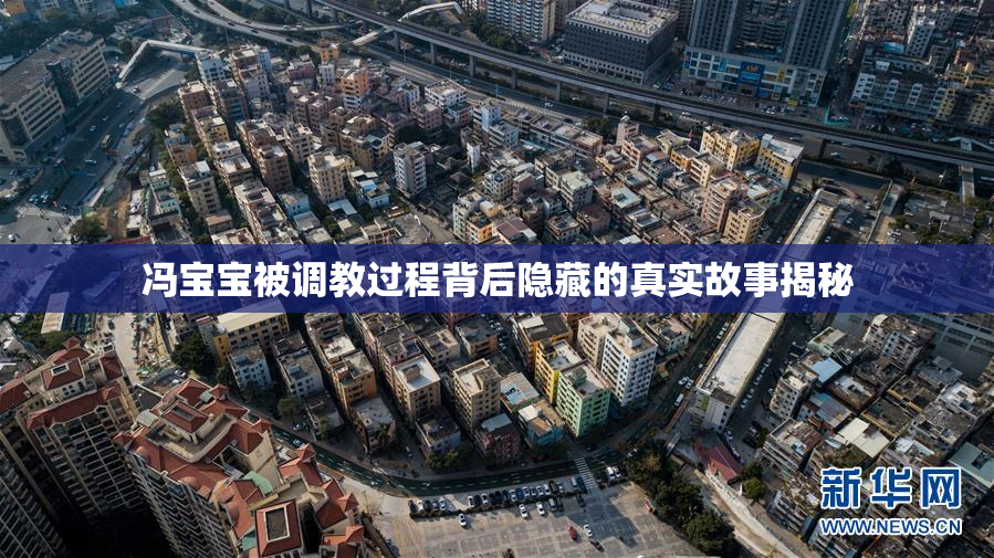冯宝宝被调教过程背后隐藏的真实故事揭秘