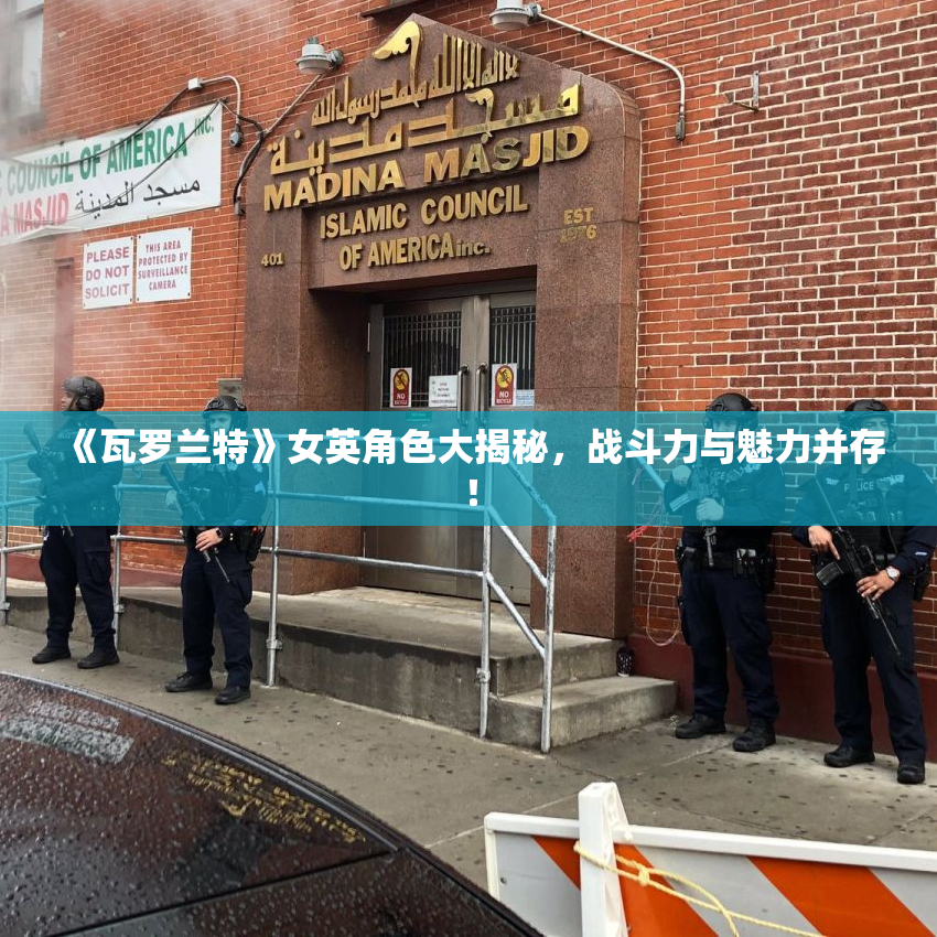 《瓦罗兰特》女英角色大揭秘，战斗力与魅力并存！