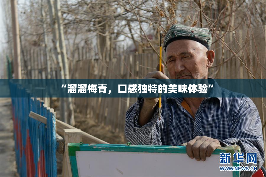“溜溜梅青，口感独特的美味体验”