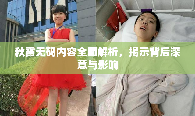 秋霞无码内容全面解析，揭示背后深意与影响