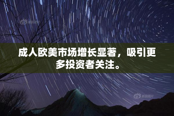 成人欧美市场增长显著，吸引更多投资者关注。