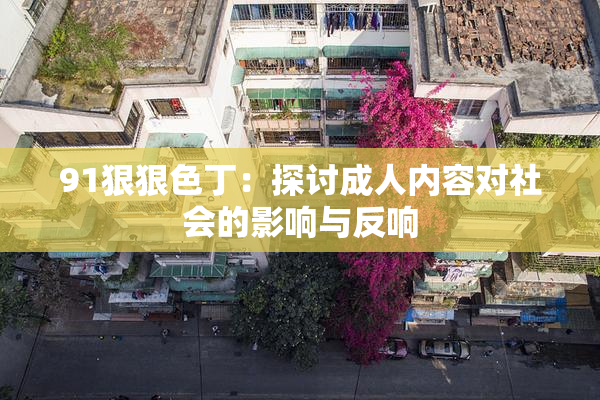 91狠狠色丁：探讨成人内容对社会的影响与反响