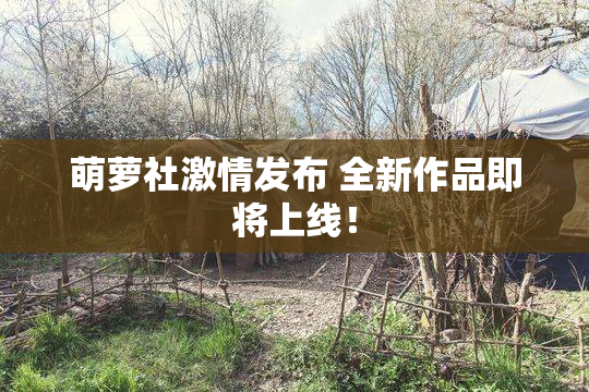 萌萝社激情发布 全新作品即将上线！
