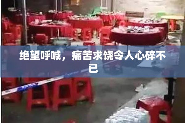 绝望呼喊，痛苦求饶令人心碎不已