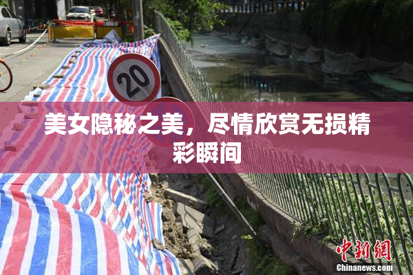 美女隐秘之美，尽情欣赏无损精彩瞬间