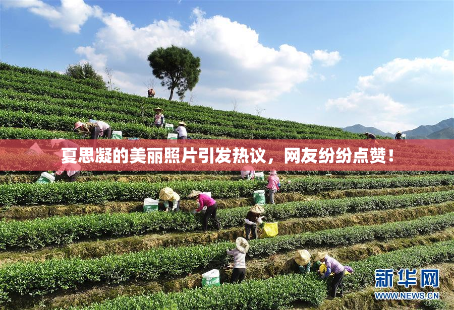 夏思凝的美丽照片引发热议，网友纷纷点赞！