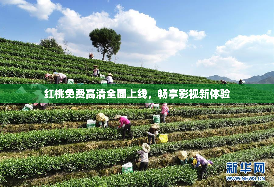 红桃免费高清全面上线，畅享影视新体验
