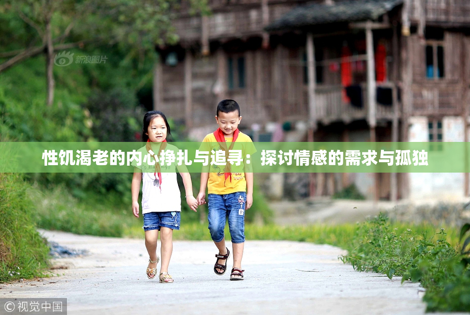 性饥渴老的内心挣扎与追寻：探讨情感的需求与孤独