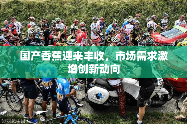 国产香蕉迎来丰收，市场需求激增创新动向