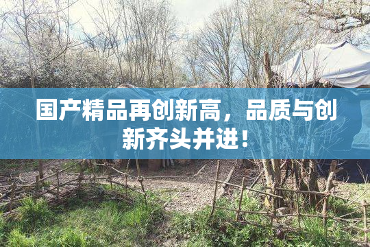 国产精品再创新高，品质与创新齐头并进！