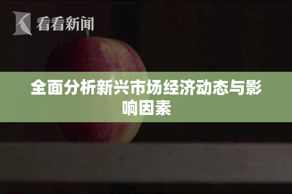 全面分析新兴市场经济动态与影响因素