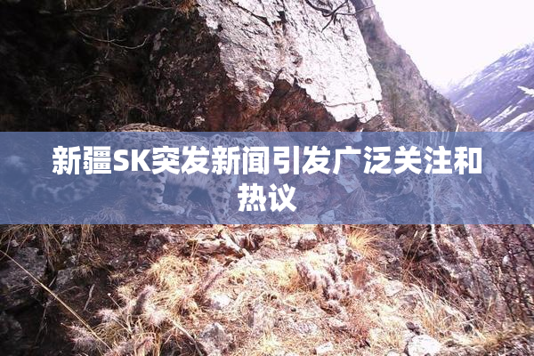 新疆SK突发新闻引发广泛关注和热议