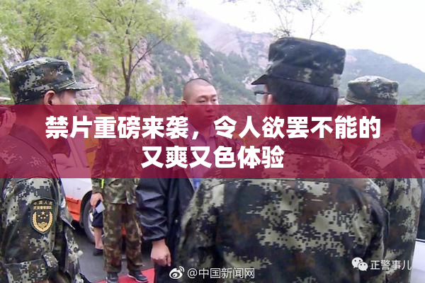 禁片重磅来袭，令人欲罢不能的又爽又色体验