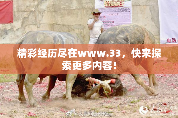 精彩经历尽在www.33，快来探索更多内容！