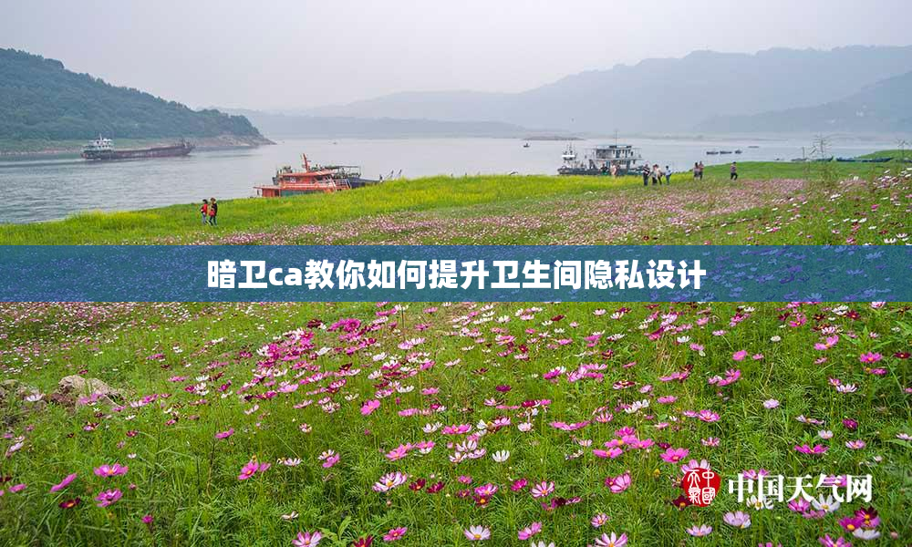 暗卫ca教你如何提升卫生间隐私设计
