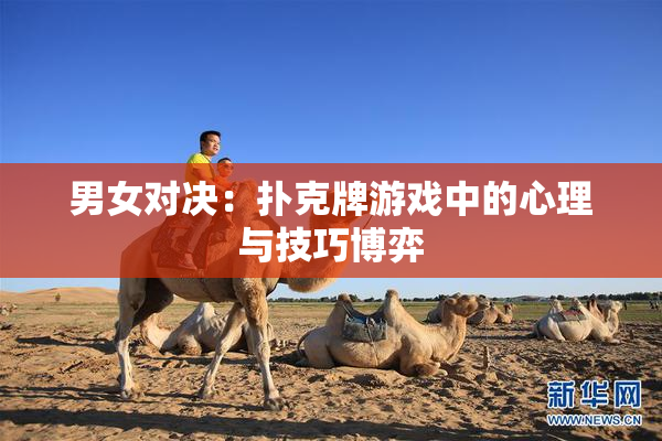 男女对决：扑克牌游戏中的心理与技巧博弈