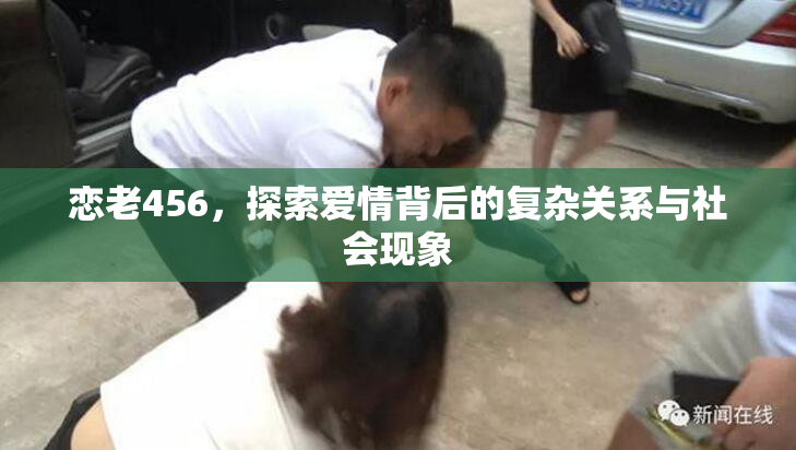 恋老456，探索爱情背后的复杂关系与社会现象