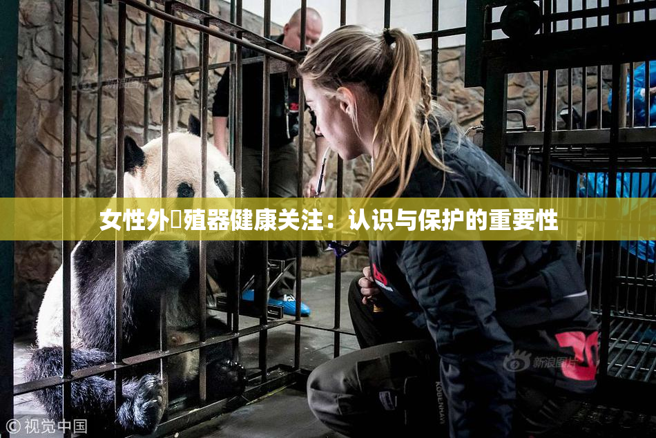 女性外夝殖器健康关注：认识与保护的重要性