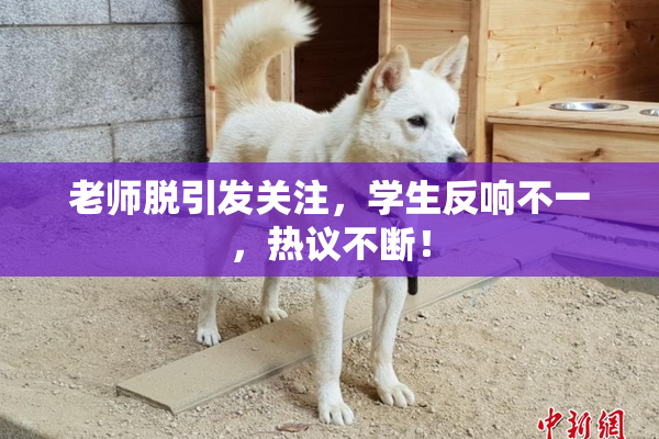 老师脱引发关注，学生反响不一，热议不断！