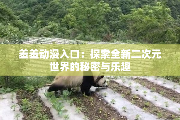 羞羞动漫入口：探索全新二次元世界的秘密与乐趣