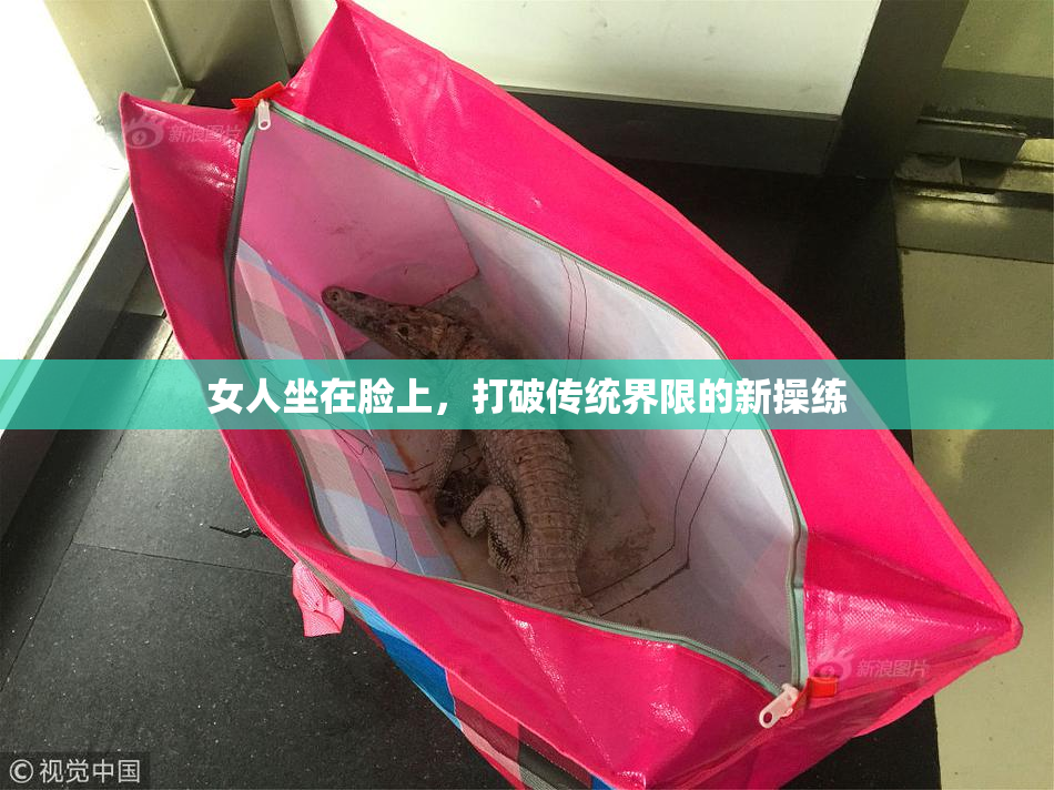 女人坐在脸上，打破传统界限的新操练