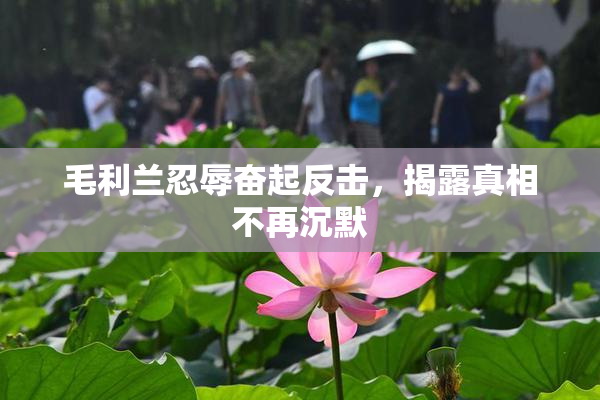 毛利兰忍辱奋起反击，揭露真相不再沉默