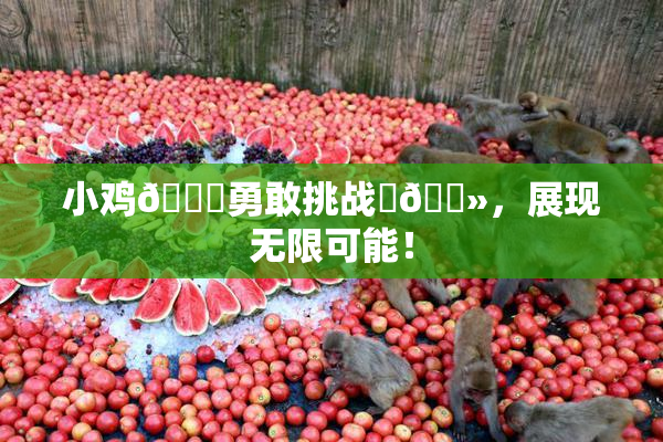 小鸡🐔勇敢挑战‌🐻，展现无限可能！