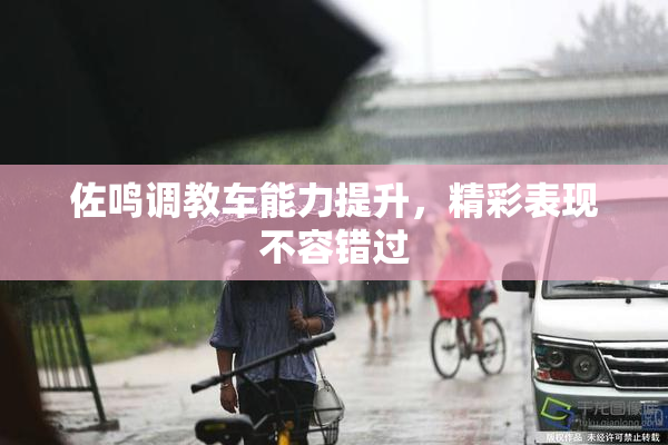 佐鸣调教车能力提升，精彩表现不容错过