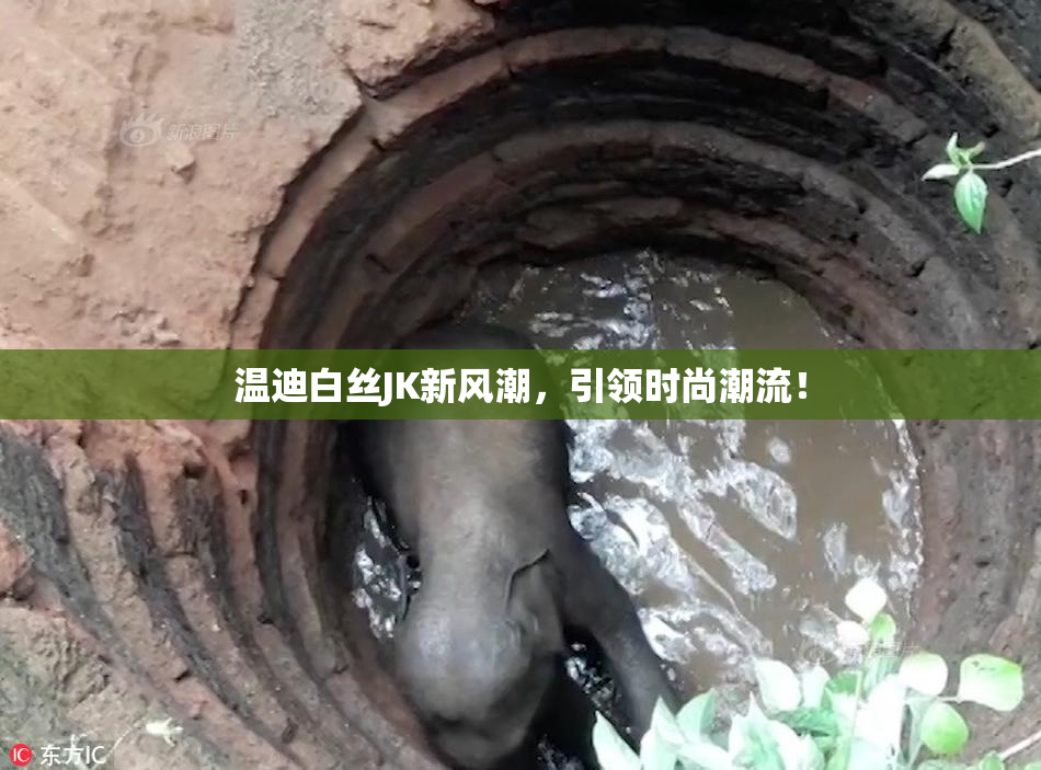 温迪白丝JK新风潮，引领时尚潮流！