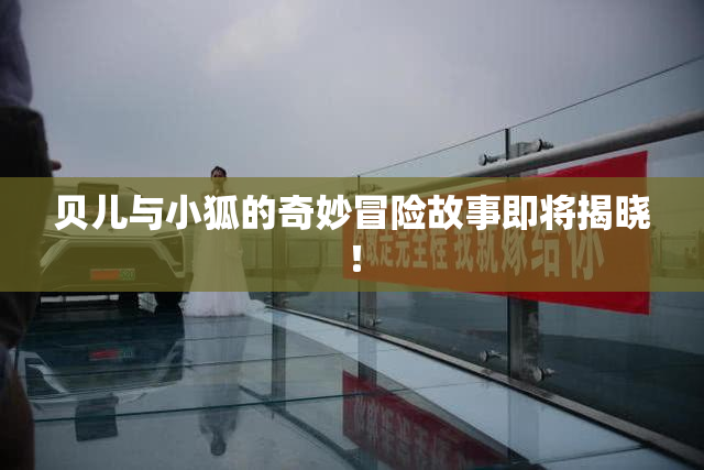 贝儿与小狐的奇妙冒险故事即将揭晓！