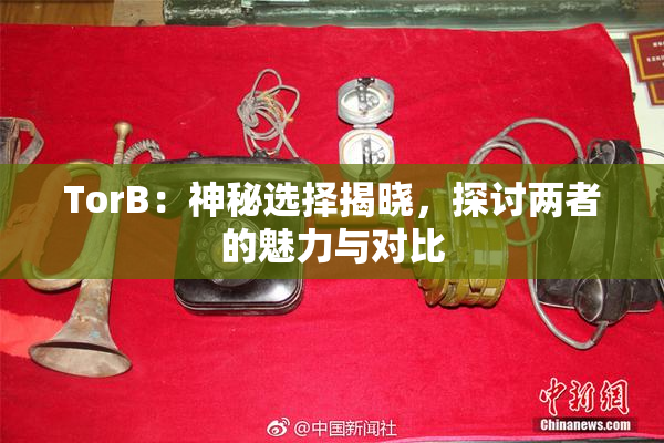 TorB：神秘选择揭晓，探讨两者的魅力与对比
